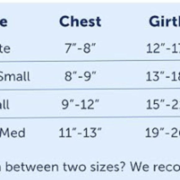 No-Pull Dog Harness - The Harness to Help Stop Pulling-Small PetSafe Easy Walk - Picture 5 of 7